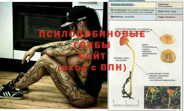 ГАЛЛЮЦИНОГЕННЫЕ ГРИБЫ Навашино