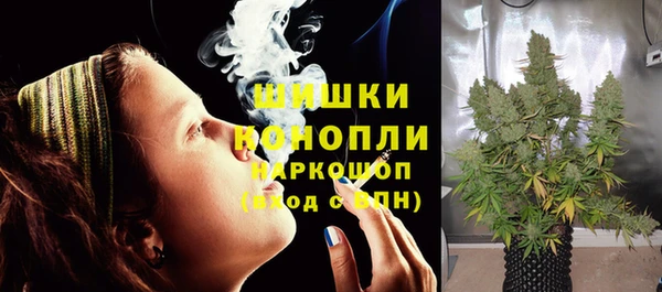 дживик Нефтегорск