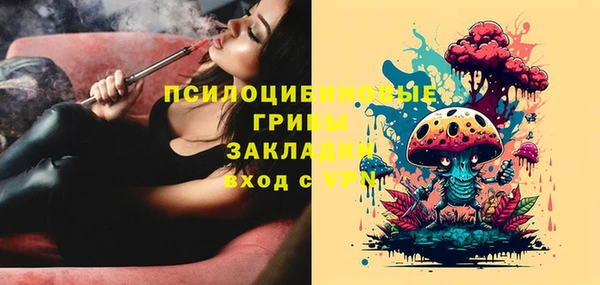 гидропоника Билибино
