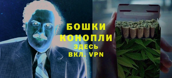 дурь Надым
