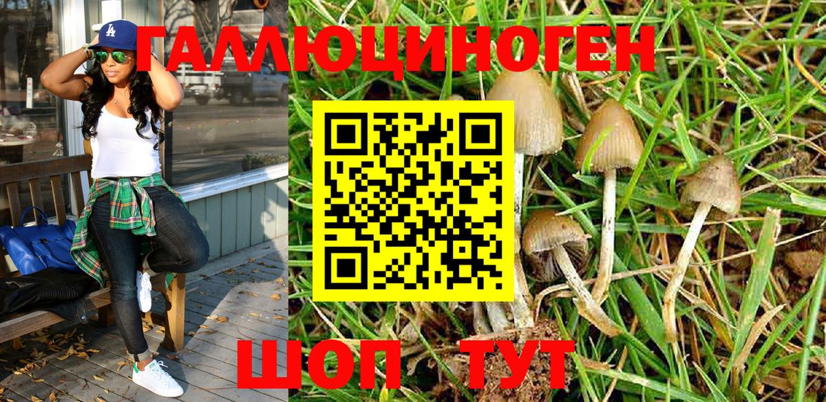 Нягань  Галлюциногенные грибы Psilocybe  Вход с VPN  Галлюциногенные грибы Magic Shrooms 