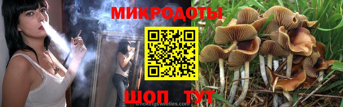 Галлюциногенные грибы Psilocybine cubensis Нягань